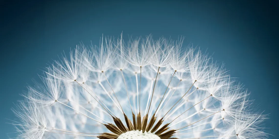 La Fondation Lombard Odier célèbre son 20e anniversaire