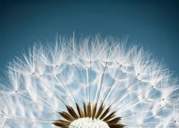 La Fondation Lombard Odier célèbre son 20e anniversaire