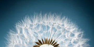 La Fondation Lombard Odier célèbre son 20e anniversaire