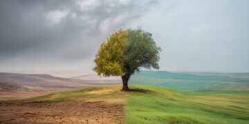 Un guide pour renforcer la résilience climatique