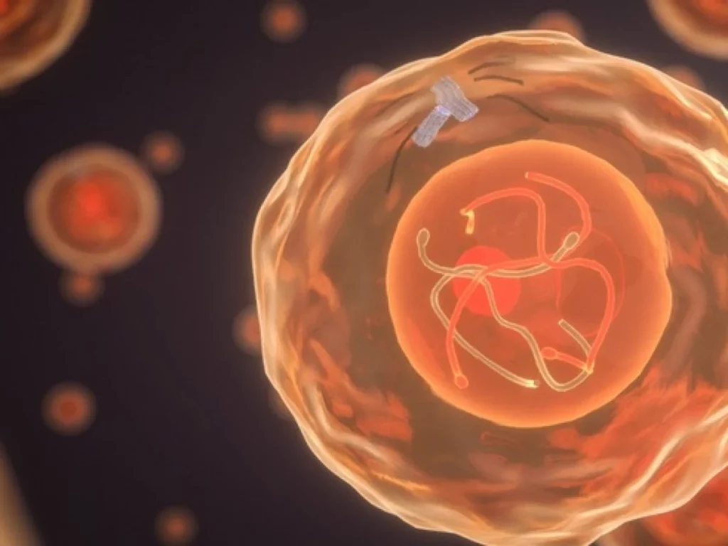 FoRx Therapeutics lève 50 millions de dollars pour faire avancer un nouveau traitement anticancéreux prometteur